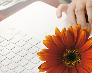 Tangentbord med gerbera i förgrunden