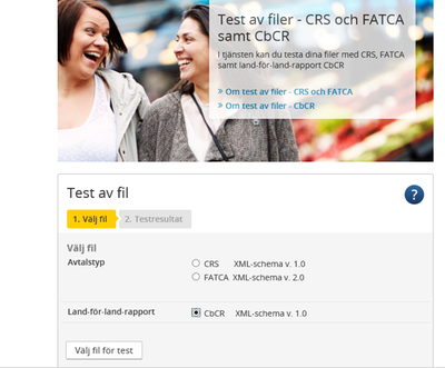 Test Service For Cbcr Swedish Format Skatteverket